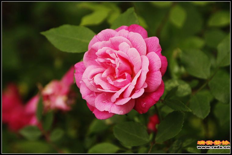 nEO_IMG__MG_0220.jpg