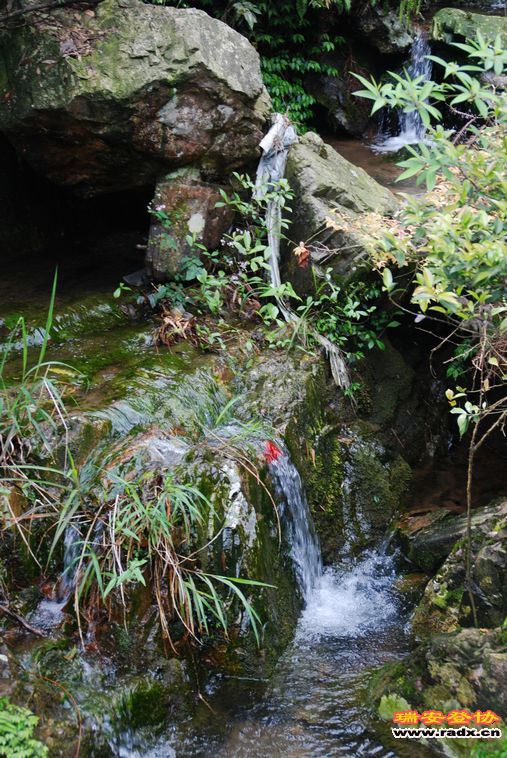 DSC_0100.jpg