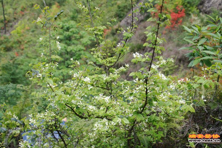 DSC_0124.jpg