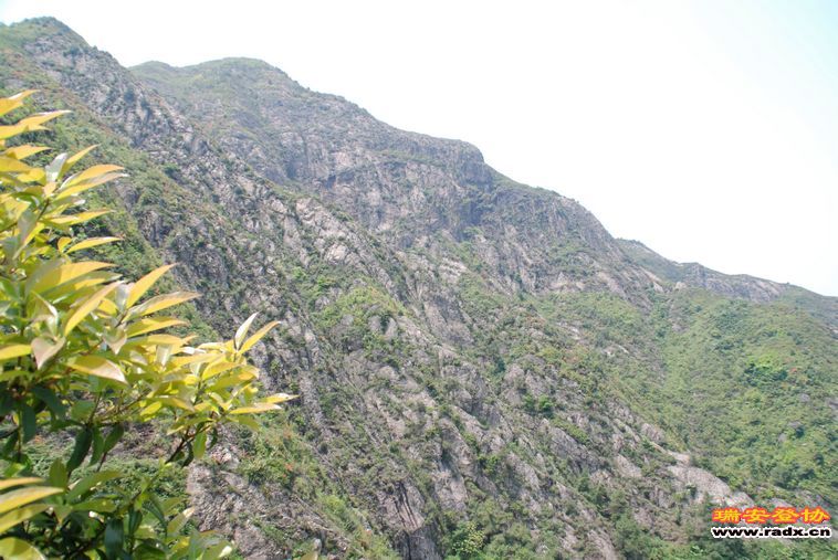 DSC_0184.jpg