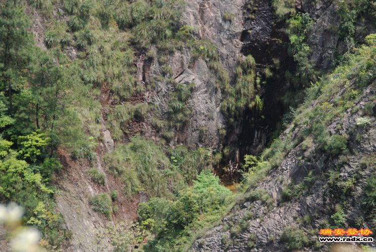 DSC_0186.jpg
