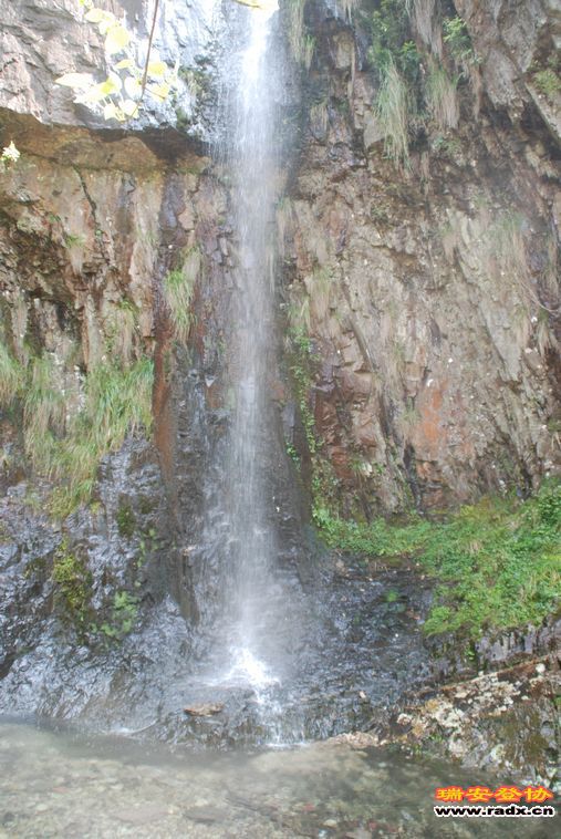 DSC_0210.jpg