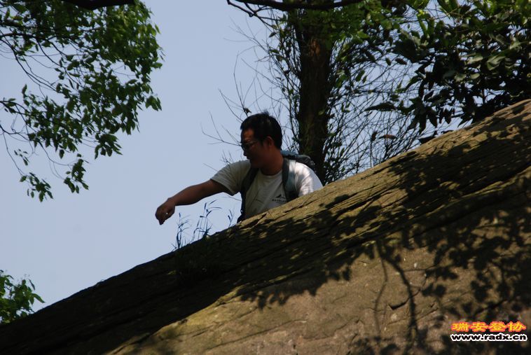 DSC_0220.jpg