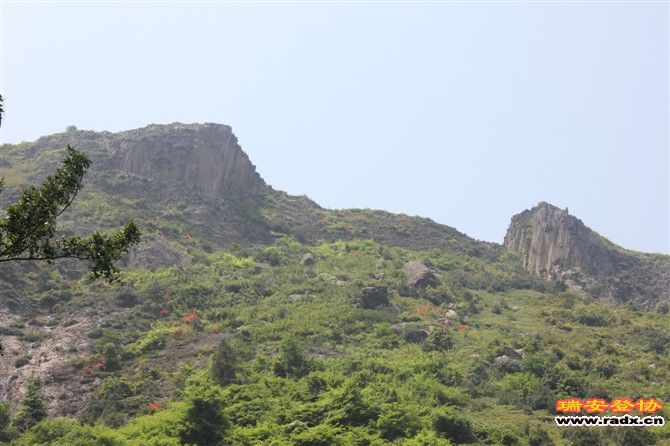 92.jpg