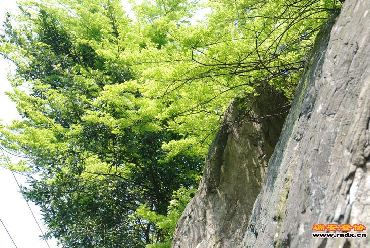 DSC_0235.jpg