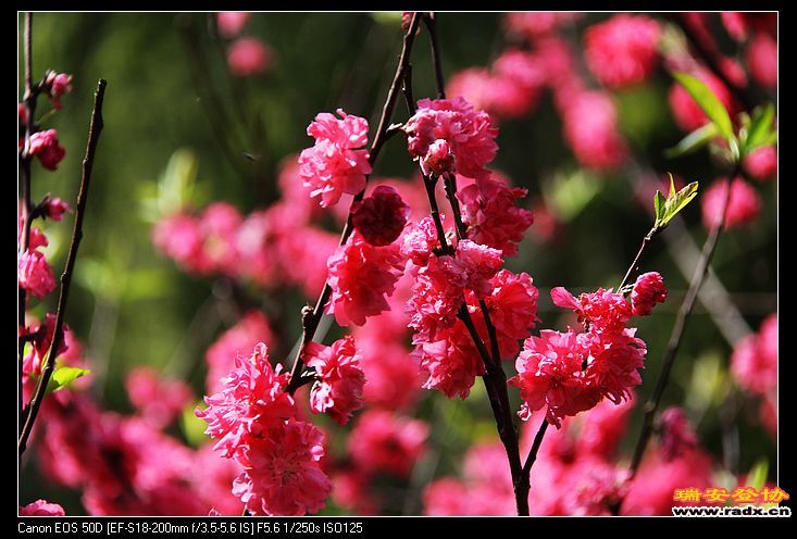 nEO_IMG_IMG_3504.jpg