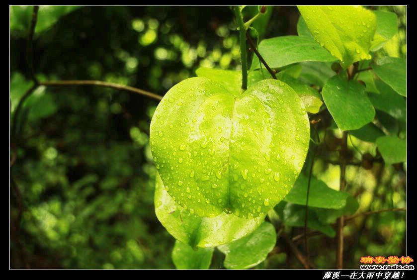 nEO_IMG__MG_0101.jpg