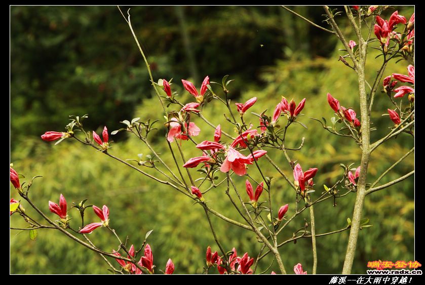 nEO_IMG__MG_0317.jpg