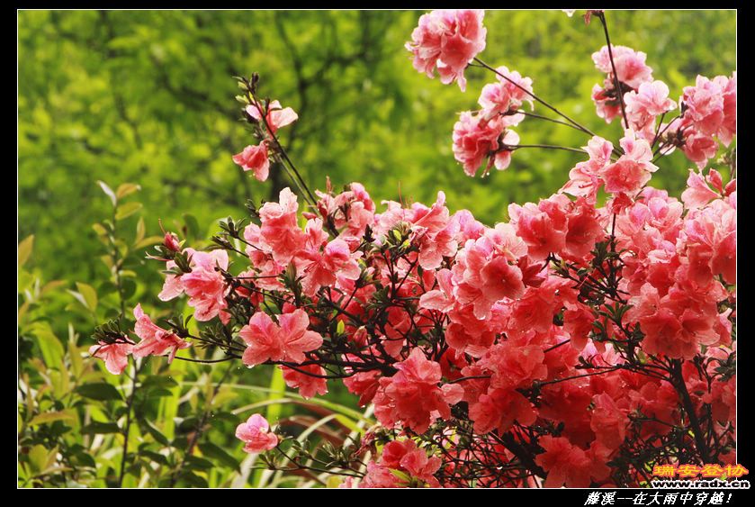 nEO_IMG__MG_0339.jpg