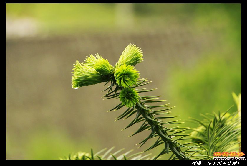 nEO_IMG__MG_0404.jpg