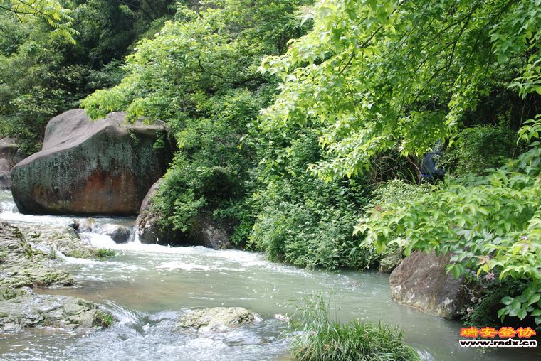 DSC_0309.jpg