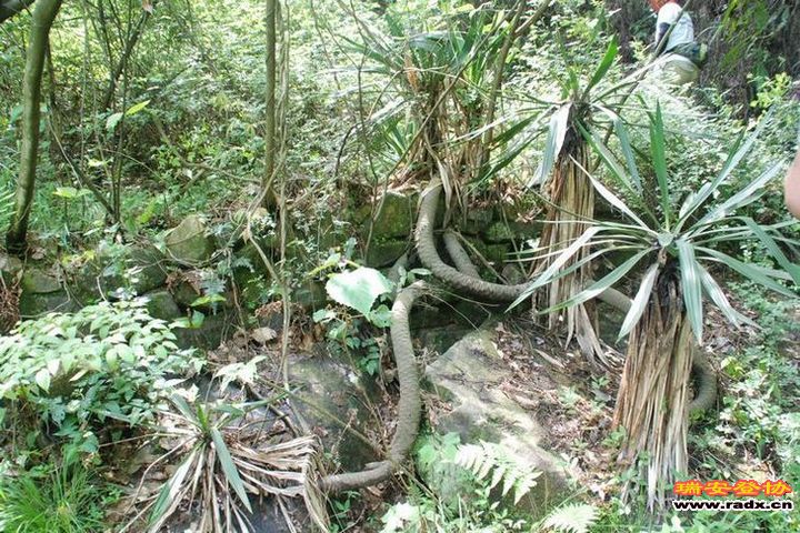 DSC_0318.jpg