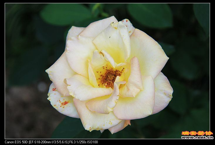 nEO_IMG_IMG_4720.jpg