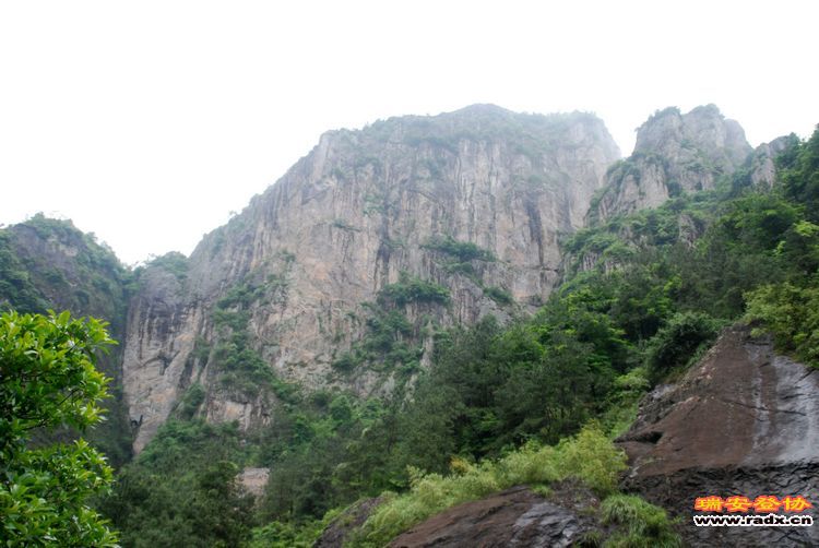 DSC_0982.jpg
