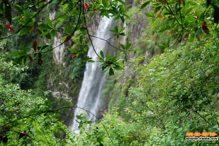 DSC_1001.jpg