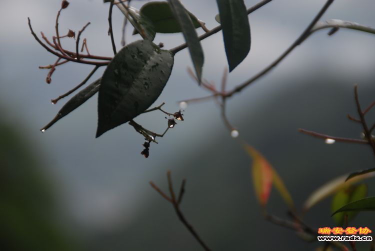 DSC_1026.jpg
