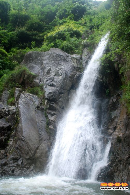 DSC_1065.jpg