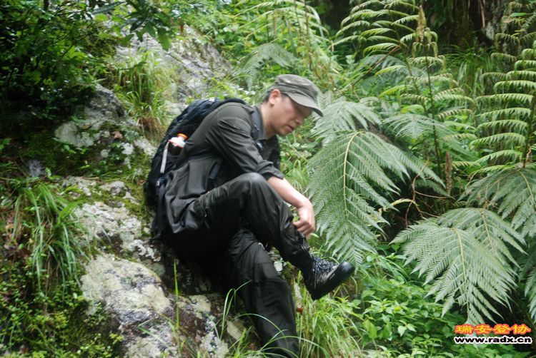 DSC_1083.jpg