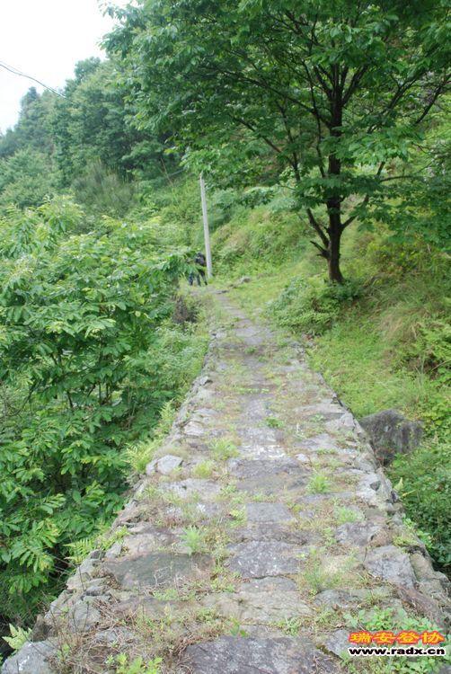 DSC_1240.jpg