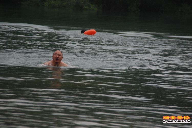 DSC_1311.jpg