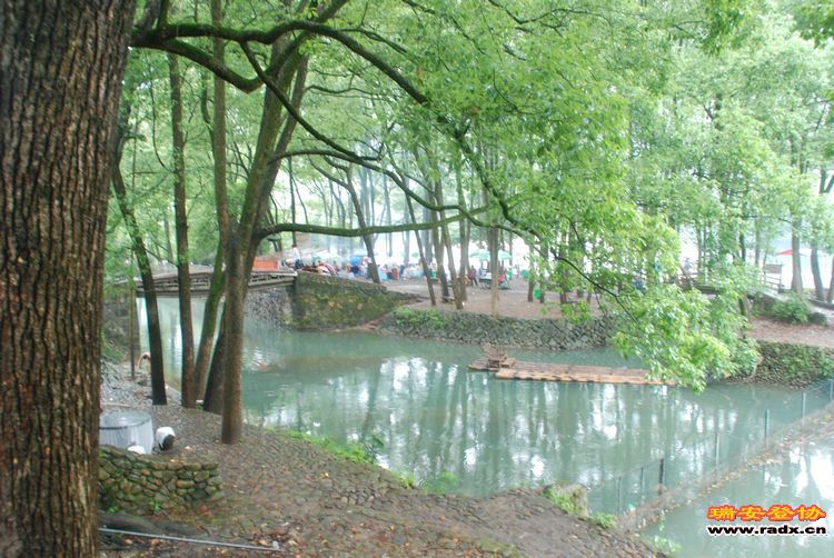 DSC_1383.jpg