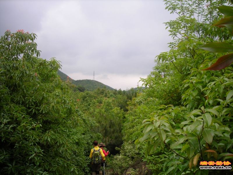 DSCN2968.JPG