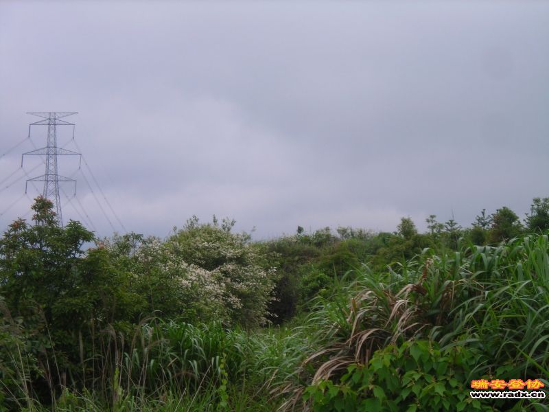 DSCN2989.JPG