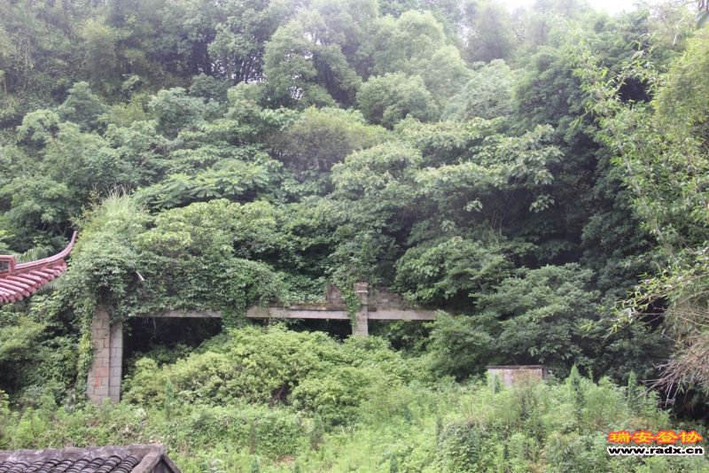 照片 439.jpg
