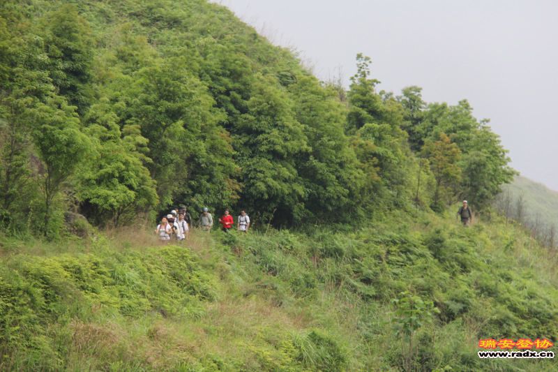 照片 473.jpg