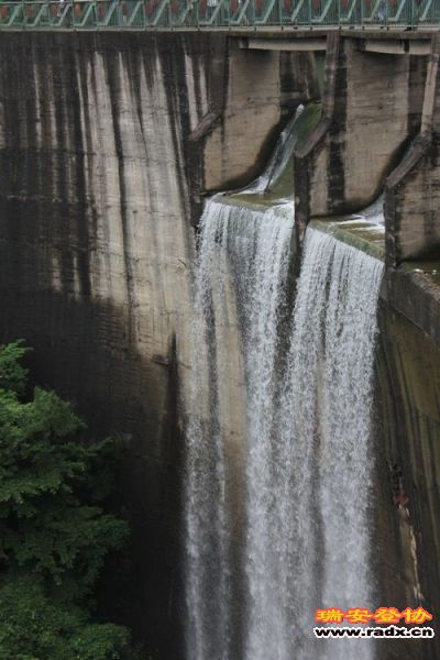 IMG_1191.jpg