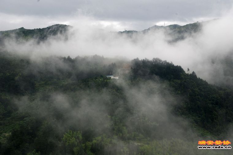 DSC_0117.jpg