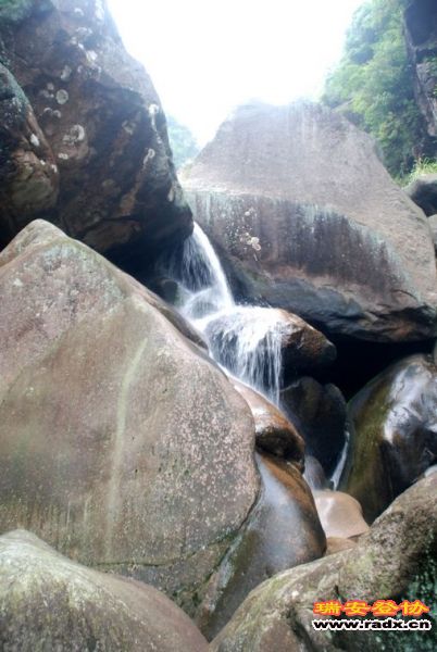DSC_0220.jpg