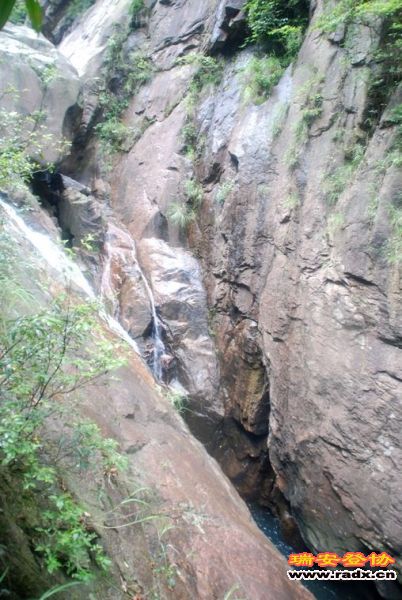 DSC_0491.jpg