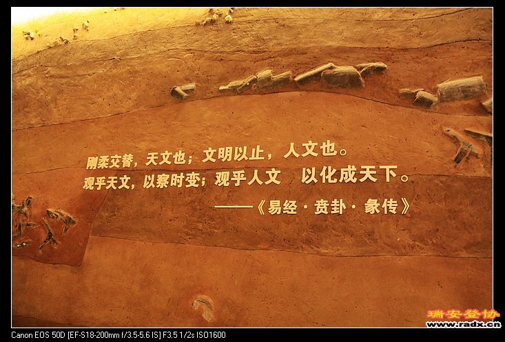 nEO_IMG_IMG_5277.jpg