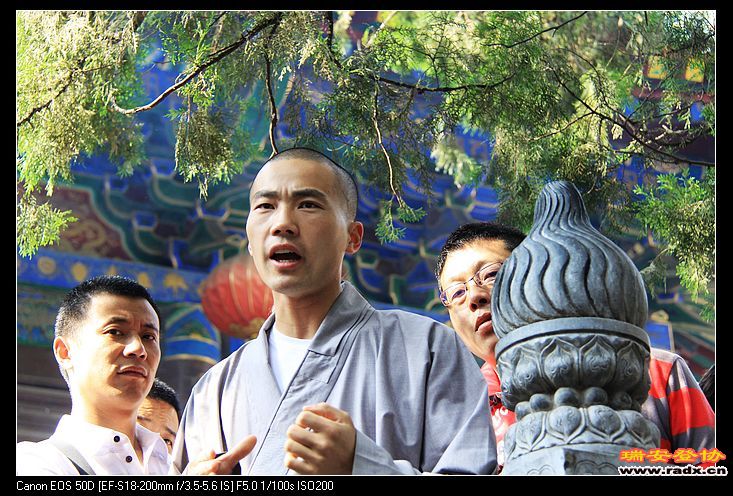 免费讲解。