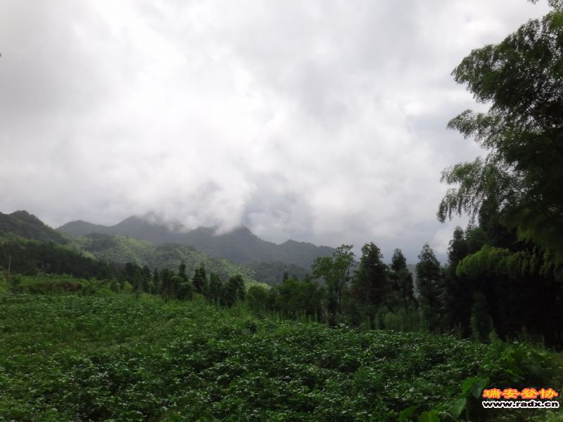 DSC01937_调整大小.JPG