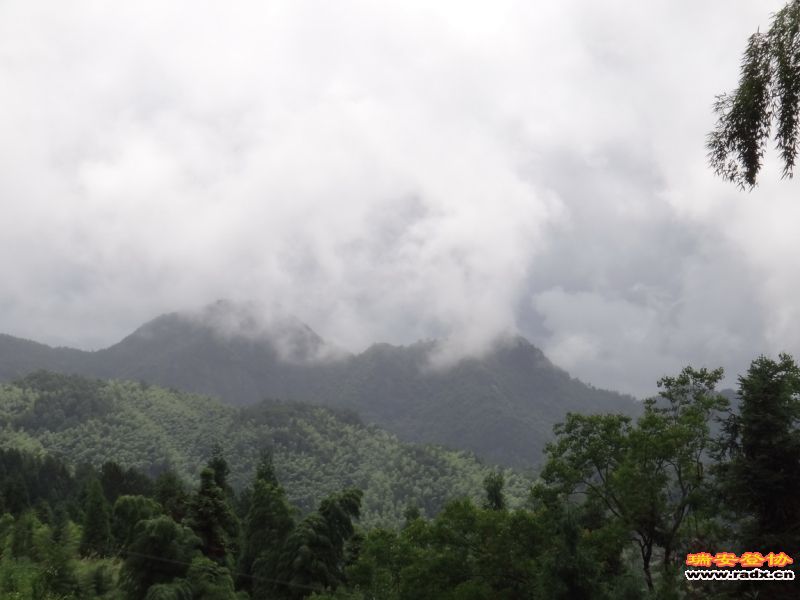 DSC01938_调整大小.JPG