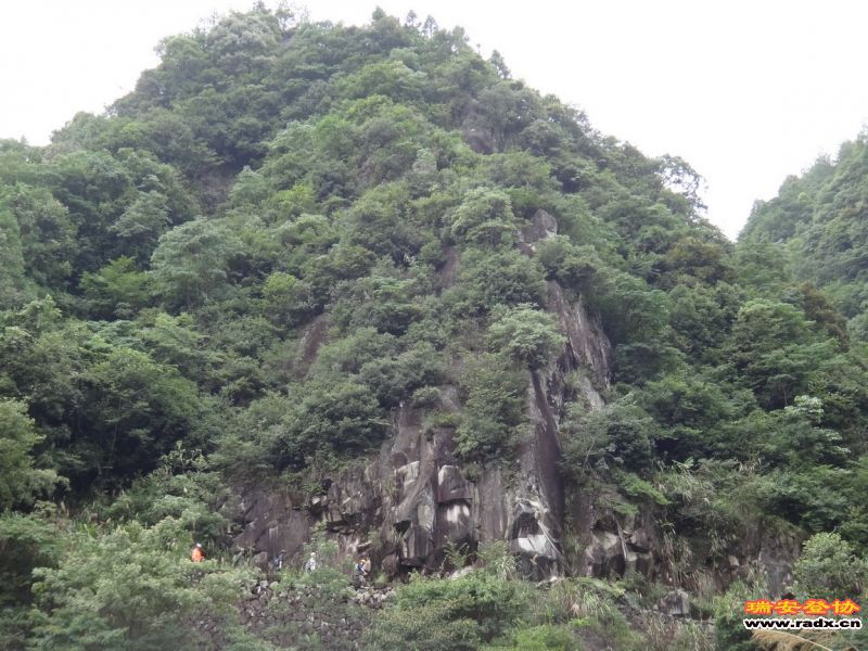 DSC01948_调整大小.JPG