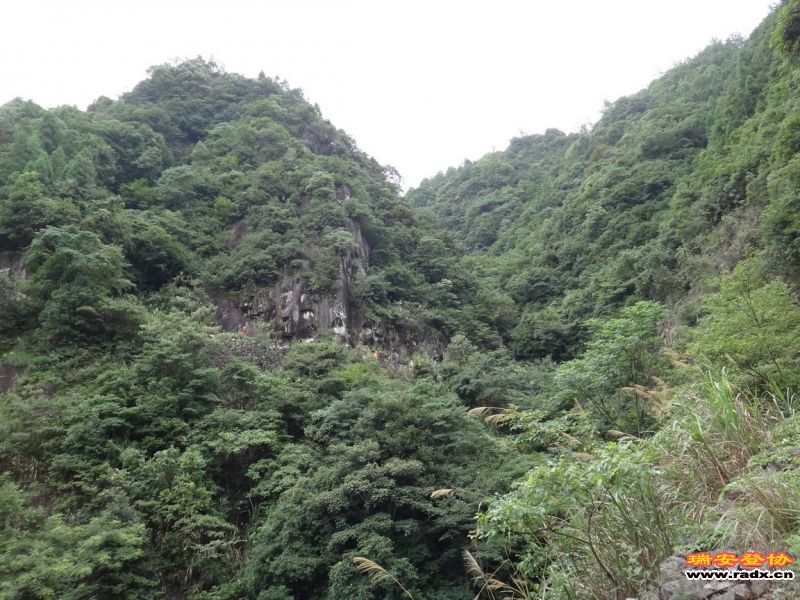 DSC01950_调整大小.JPG