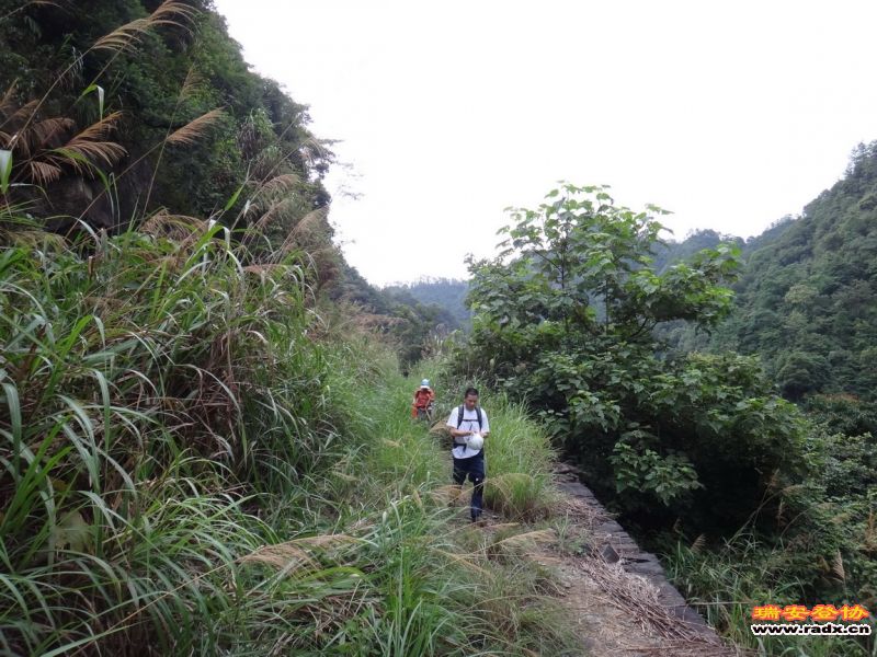 DSC01954_调整大小.JPG