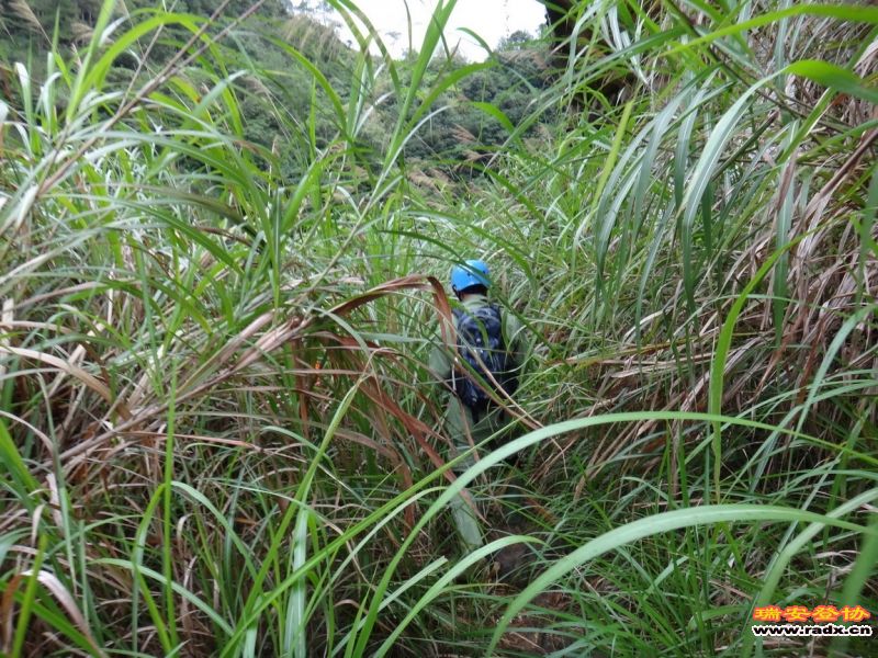 DSC01960_调整大小.JPG