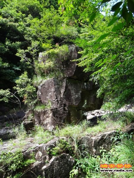 DSC02202_调整大小.JPG