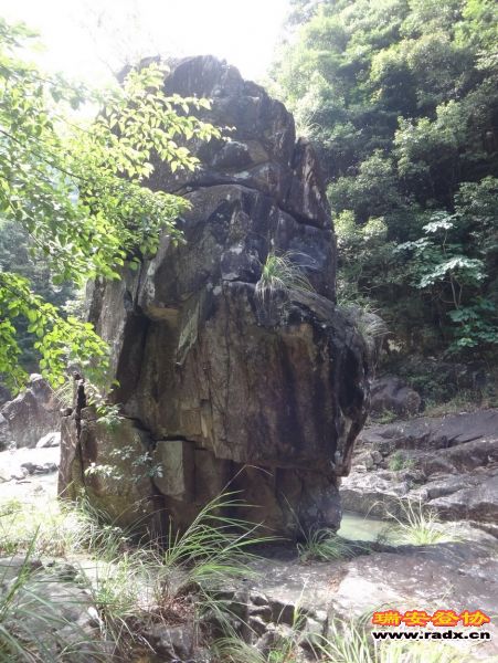 DSC02204_调整大小.JPG