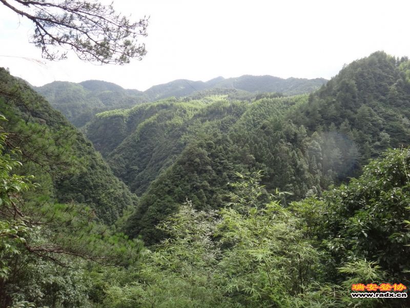 DSC02252_调整大小.JPG