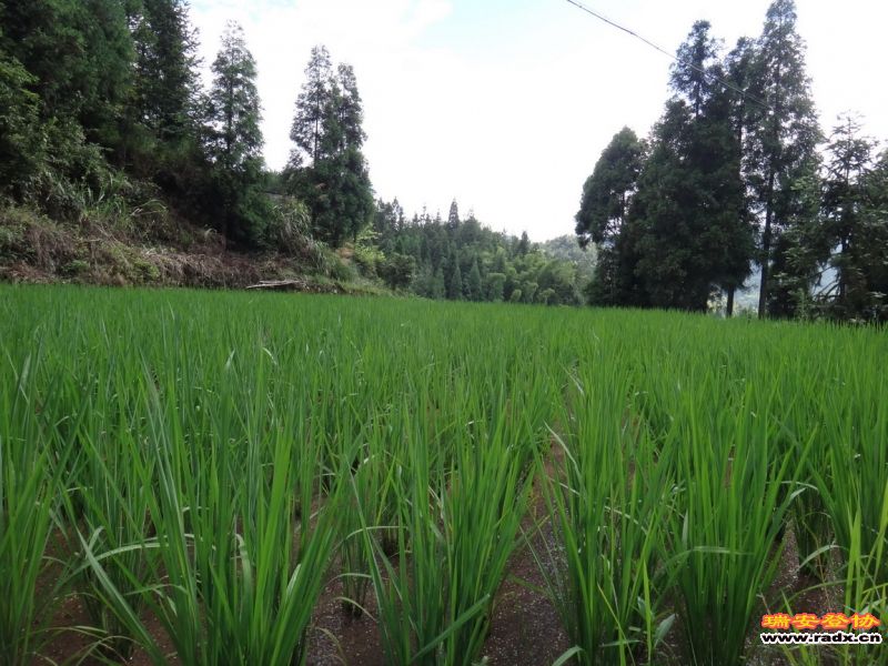 DSC02255_调整大小.JPG