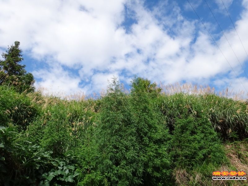 DSC02256_调整大小.JPG