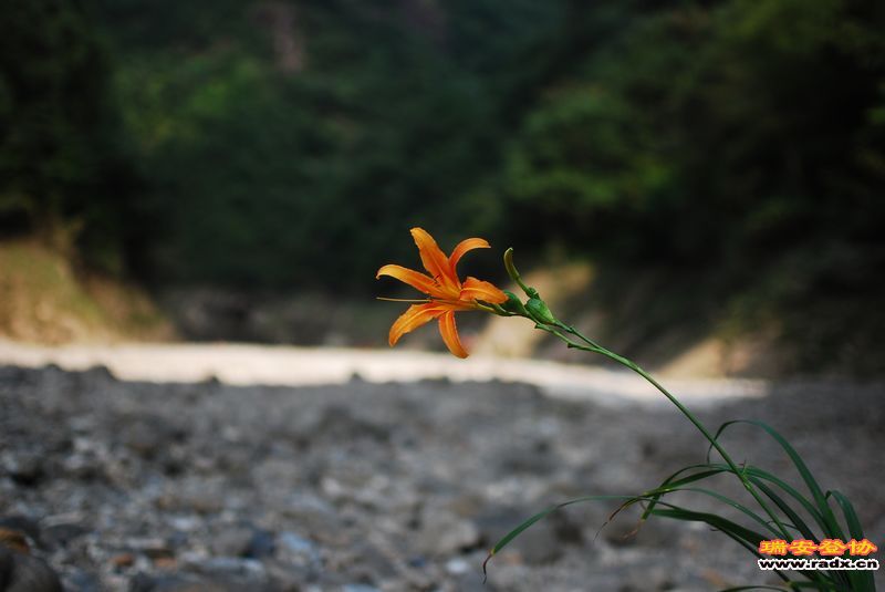 DSC_0394.jpg