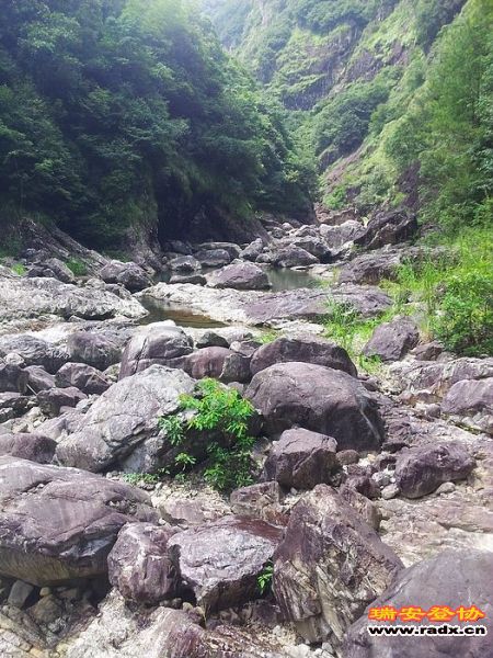nEO_IMG_20120819_130944.jpg