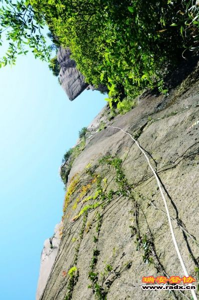 WGQ_9765.jpg