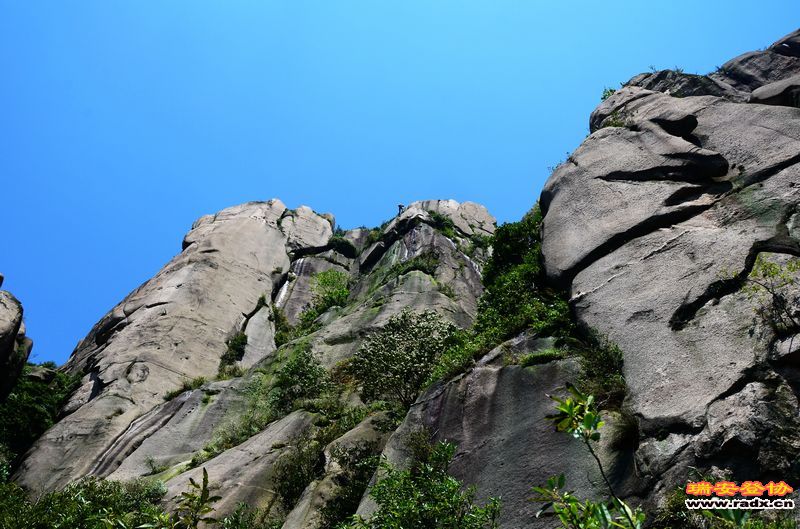 WGQ_9781.jpg